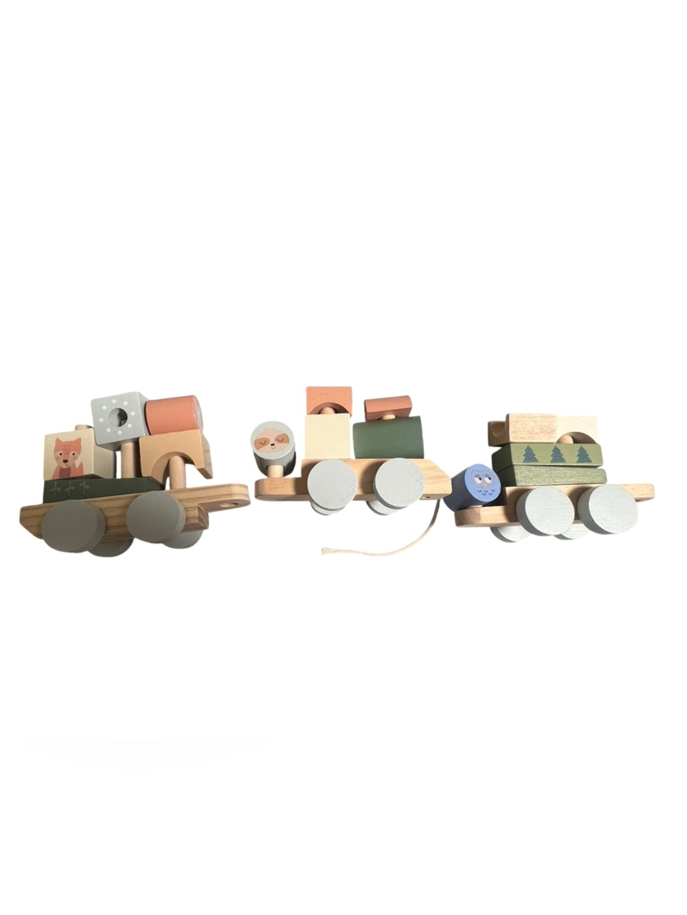 Wooden Pull-Along Animal Train Toy Set